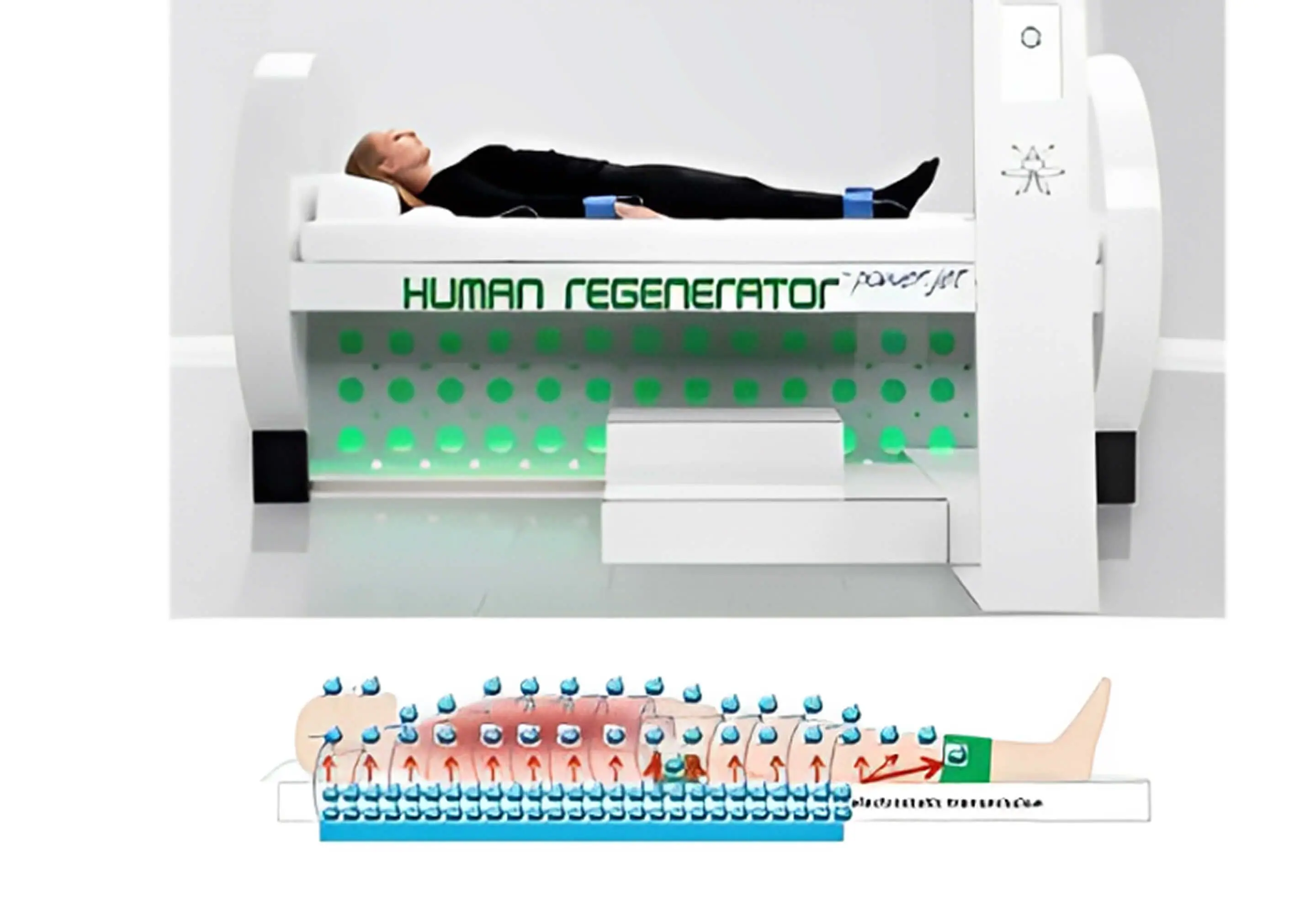 Rectangle 520 A person lies in a futuristic medical device labeled "Human Regenerator," as diagrams below illustrate the groundbreaking process of body restoration. This marvel of cellular regeneration research promises a new era in rejuvenation technology.