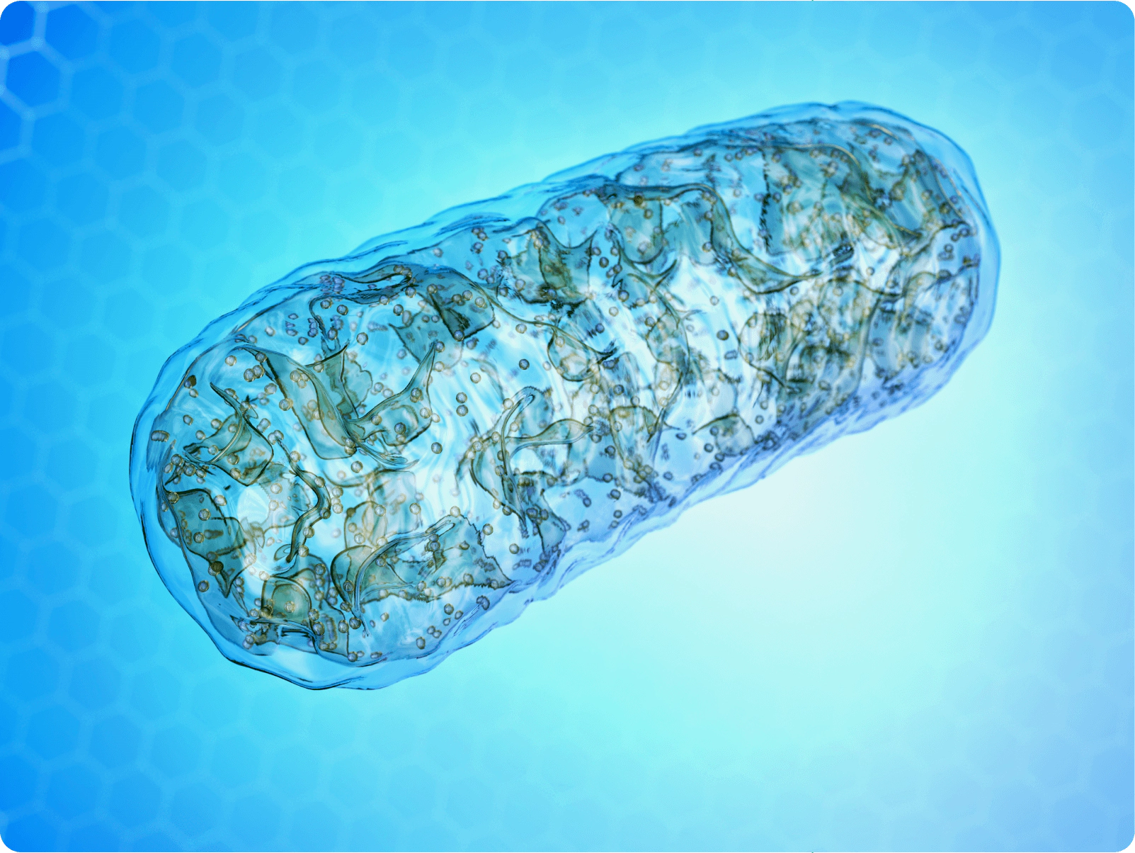 A blue background with a large, long, oval shaped object.